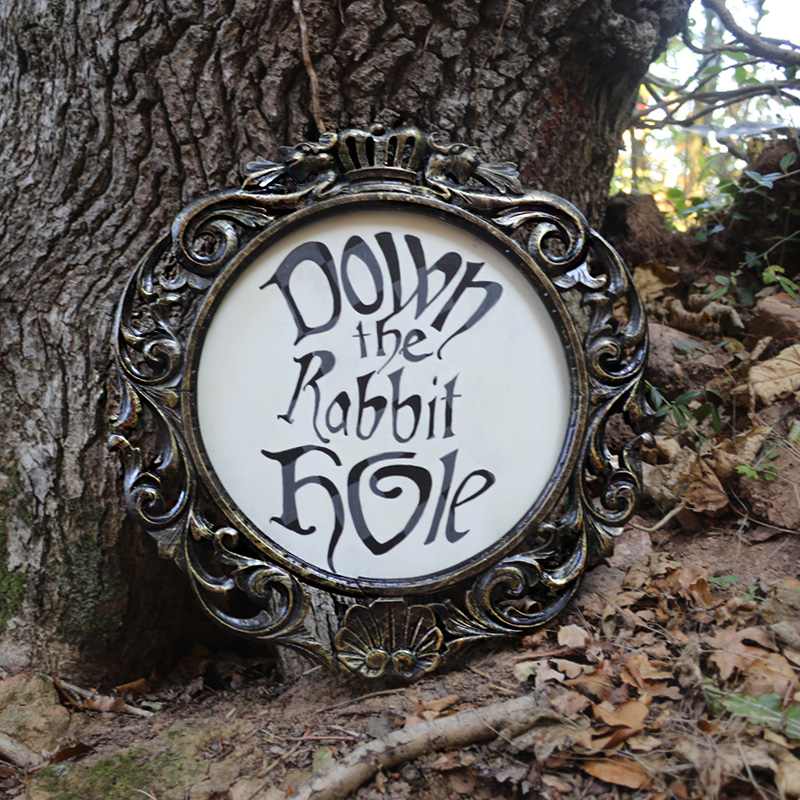 Down The Rabbit Hole Sign 3
